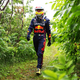 A photo of Sergio Perez walking through a forrest.